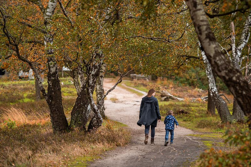 Eine Frau und ein kleines Kind gehen auf einem sandigen Waldweg zwischen Birken; die Blätter sind herbstlich orange und grün.